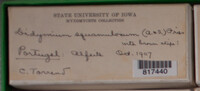 Image Associated With the Occurence